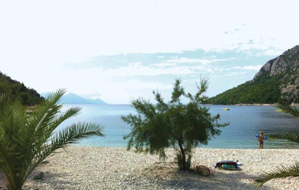 Apartmani Kremena Small Beach 200M Klek Dış mekan fotoğraf