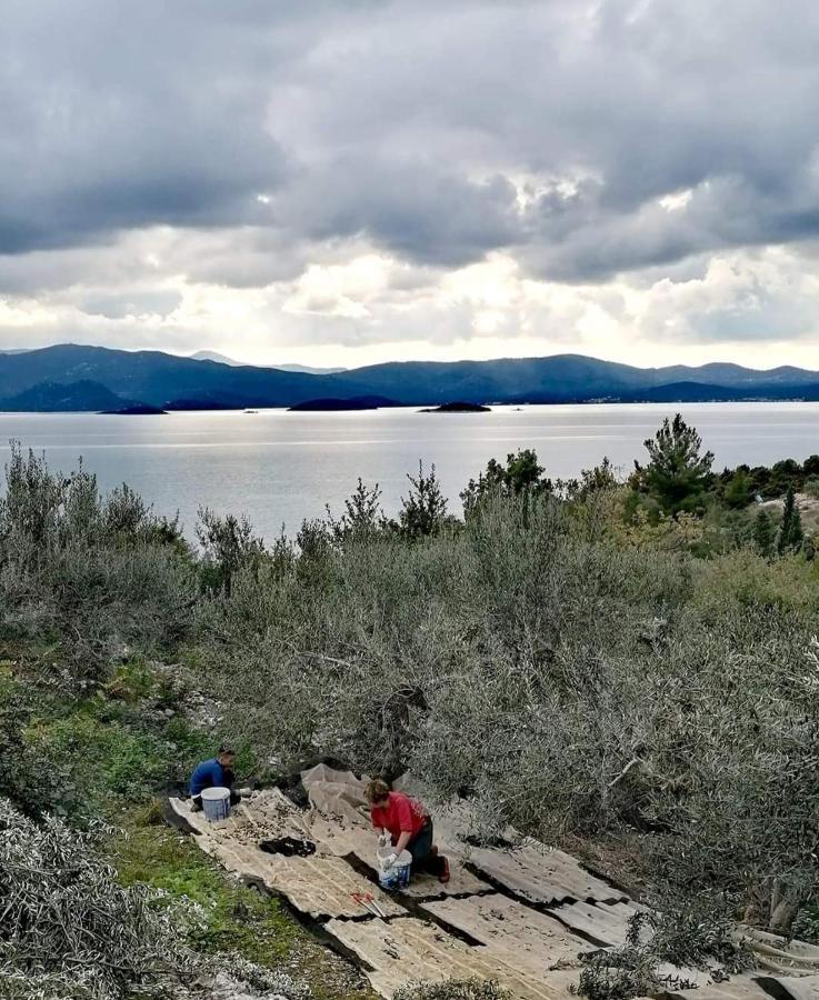 Apartmani Kremena Small Beach 200M Klek Dış mekan fotoğraf
