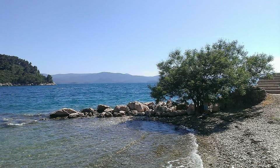 Apartmani Kremena Small Beach 200M Klek Dış mekan fotoğraf